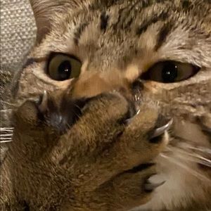 Meet your Posher, Celia